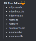 Alan adı.png