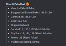 eklenti.png